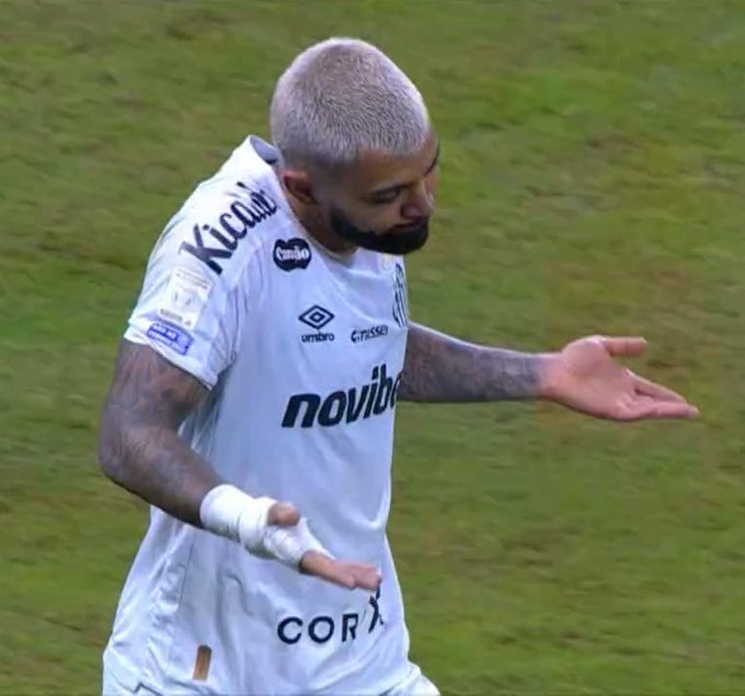 caetano santista🏳️🏴 tweet media