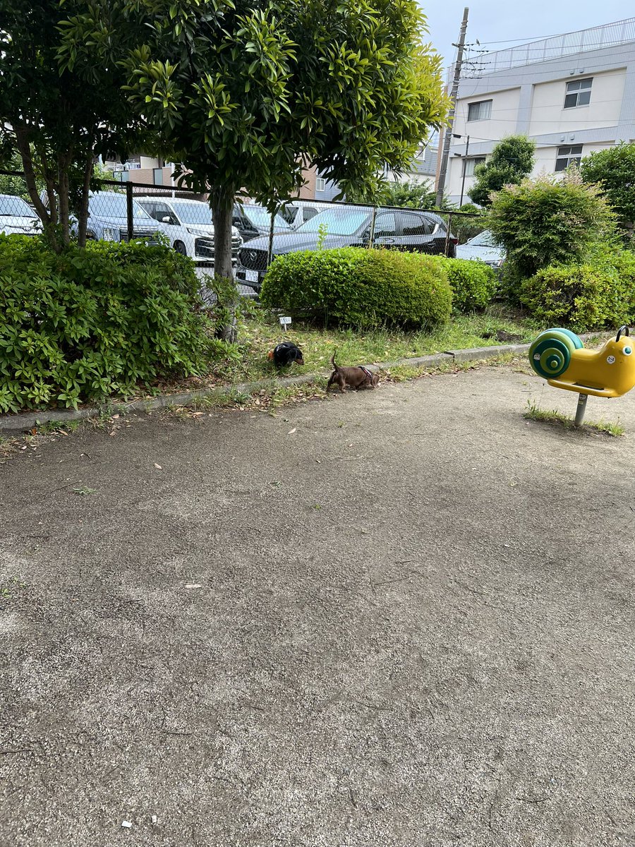 _slm6a's tweet photo. 朝から連れてこれた https://t.co/aZ58t3m98g