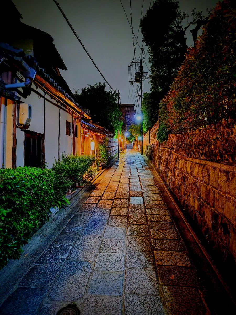 金目鯛 tweet media