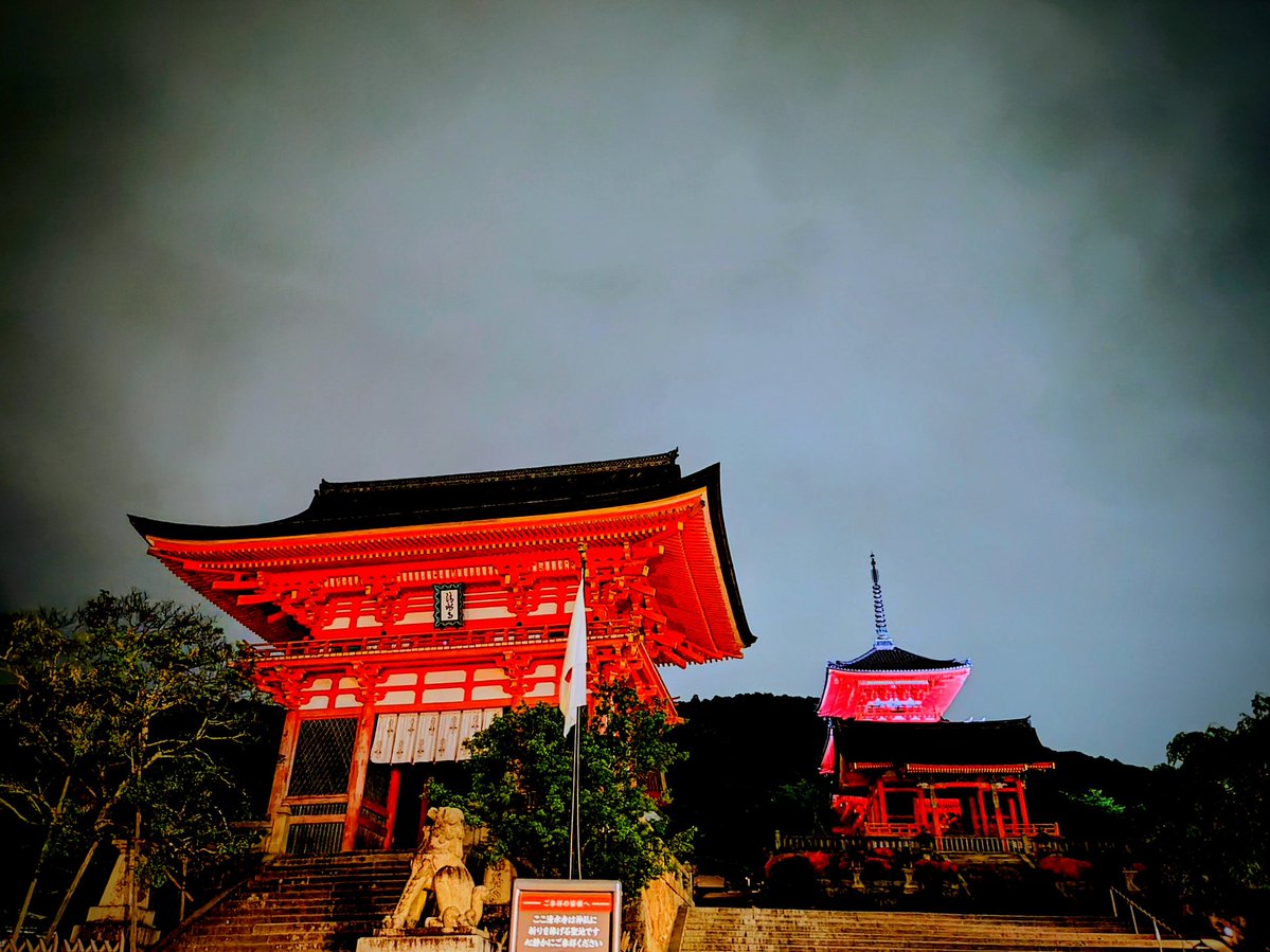金目鯛 tweet media