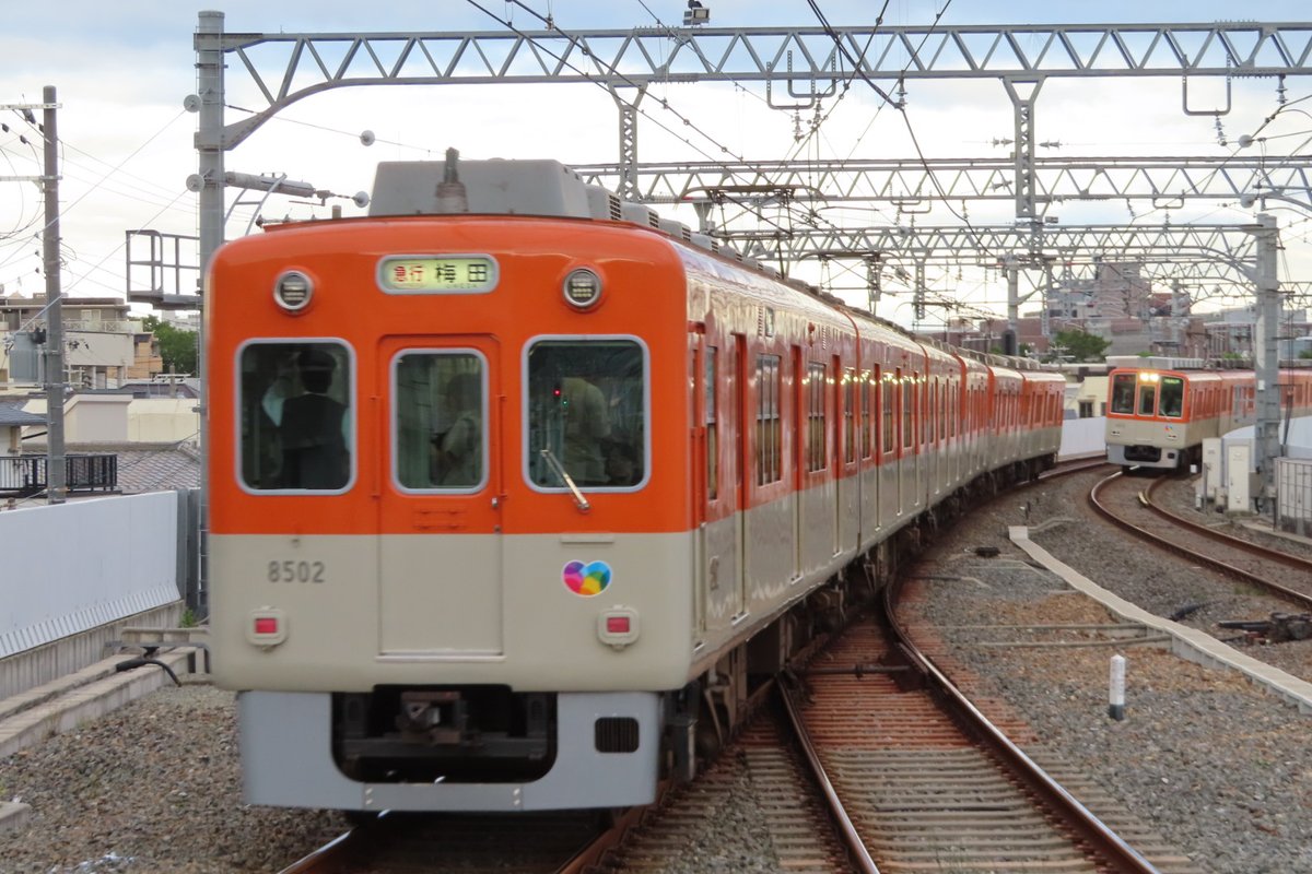 けんじ tweet media