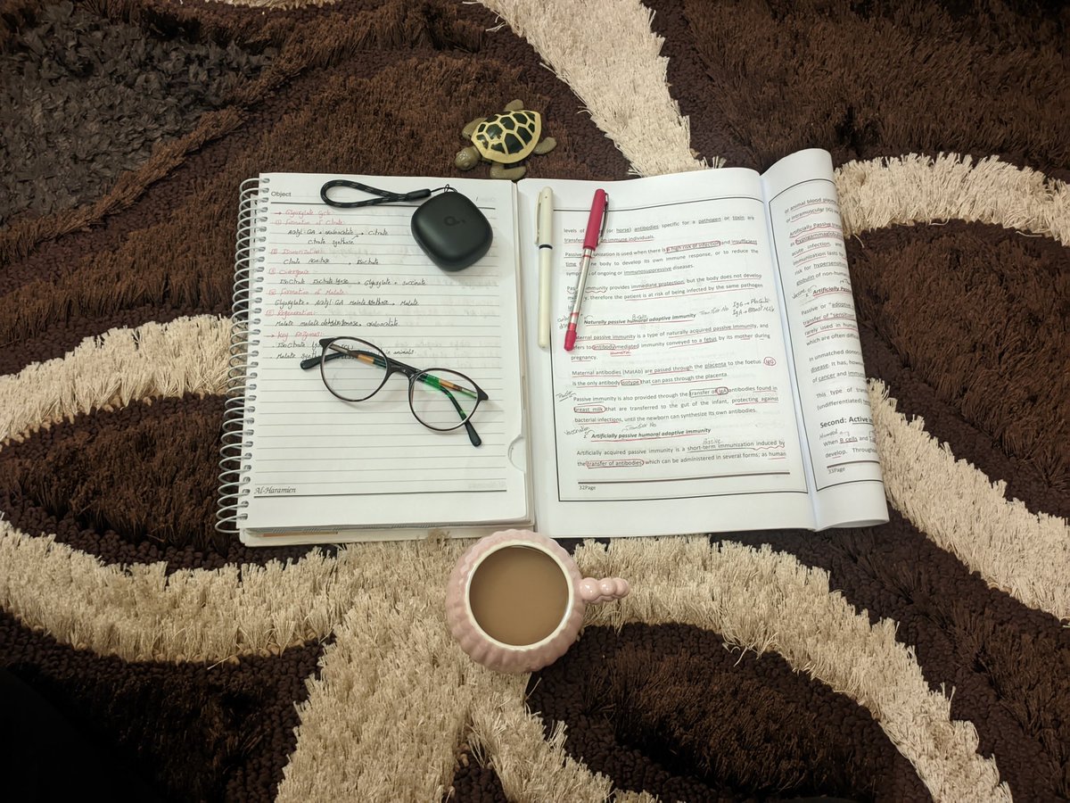 'آلاء.𓂆 tweet media