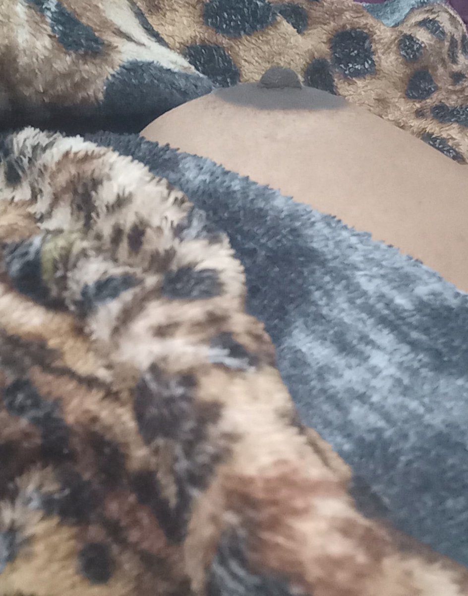 Gabyleal2025's tweet photo. O que acharam do meu cobertor? 🥰😈 https://t.co/l6a7dbA4Pz