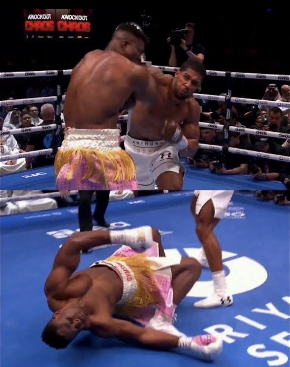 🥊 tweet media