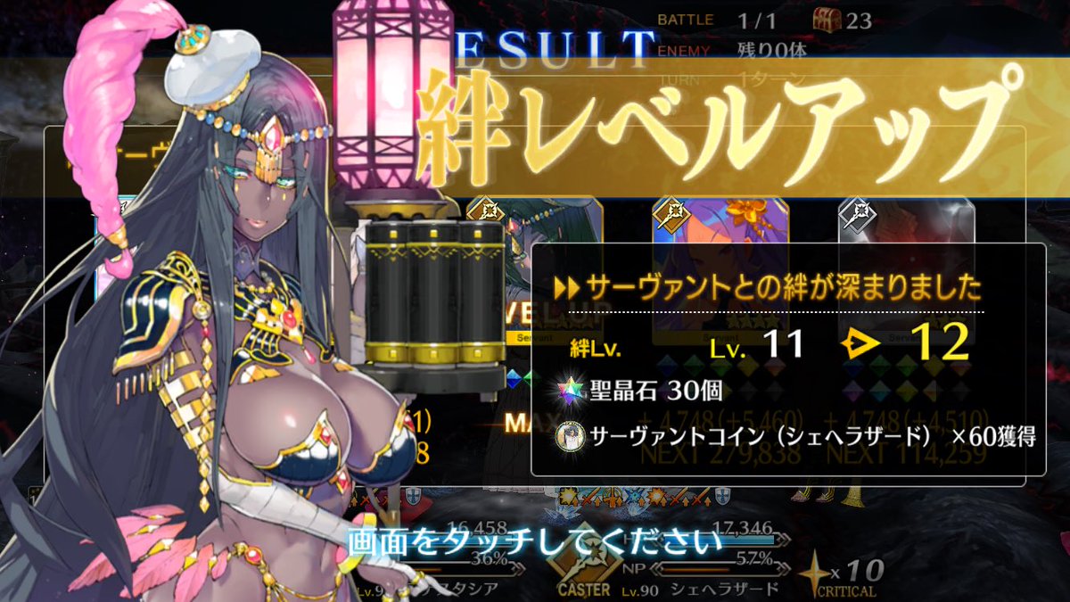 トルテ tweet media