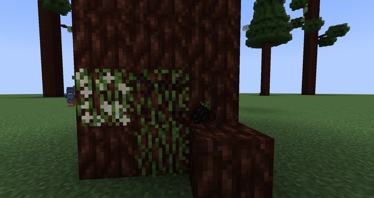 MagicVT_'s tweet photo. Nueva comida exclusiva de los redwoods, aveces escalar los arboles de los dense redwoods.. recompensa.
Zarzamoras! https://t.co/fNzyXzFf2X