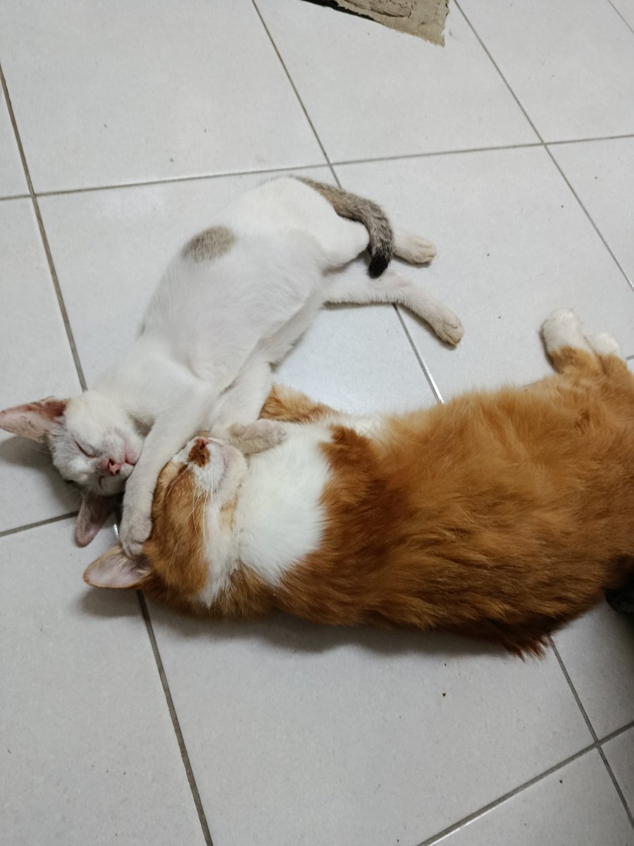 pull0out's tweet photo. Kawan hingga akhirnya https://t.co/GY6b07c5a6