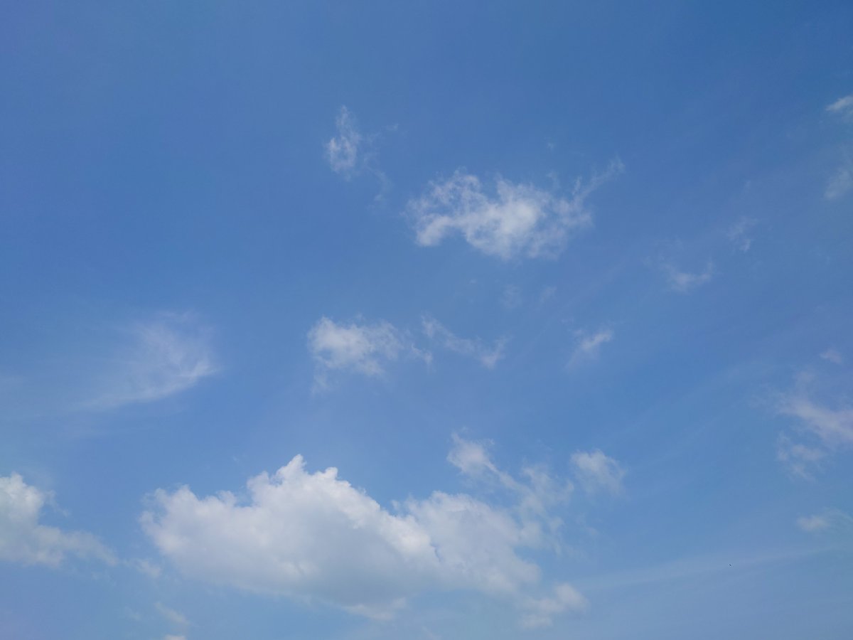 クロ tweet media