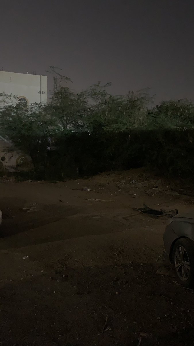 رُ الشريف tweet media
