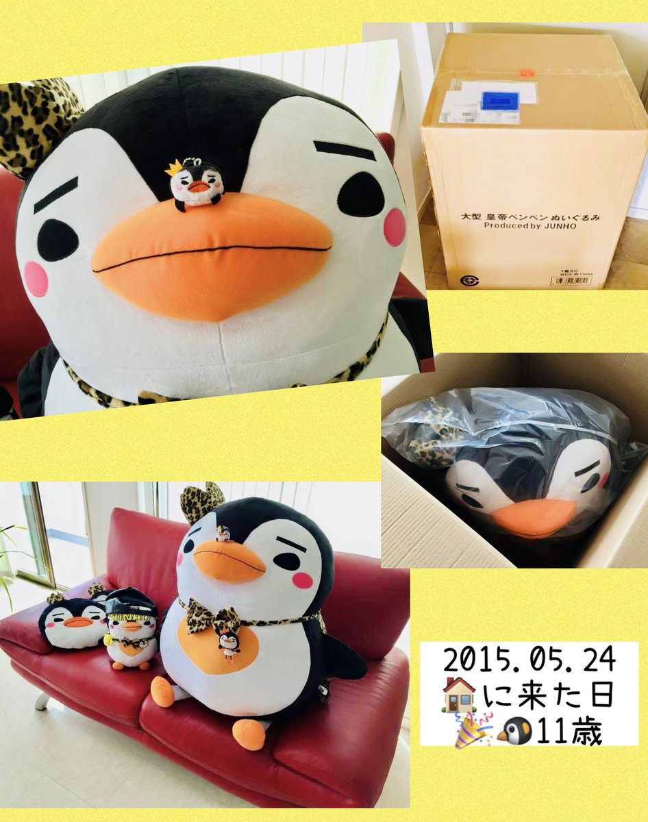 ペンペンぬいぐるみ☆ JUNHO☆また会える日 ☆LEE 2015年5月24日 11살 🥳🎉🐧 🏠に来てくれた日だぁ😃💛 巨大PenPen🐧 アイドル