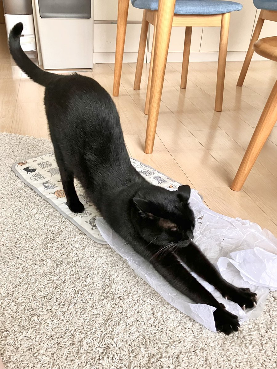 しおやてるこ tweet media