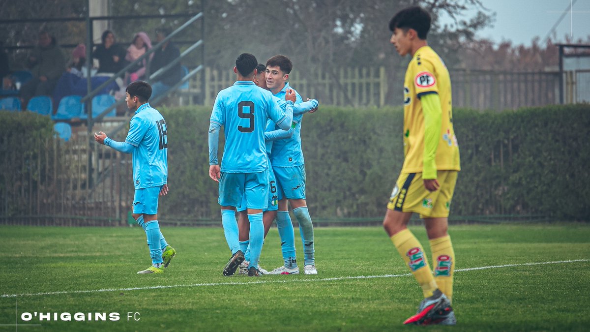 O'Higgins FC 🇧🇼 tweet media