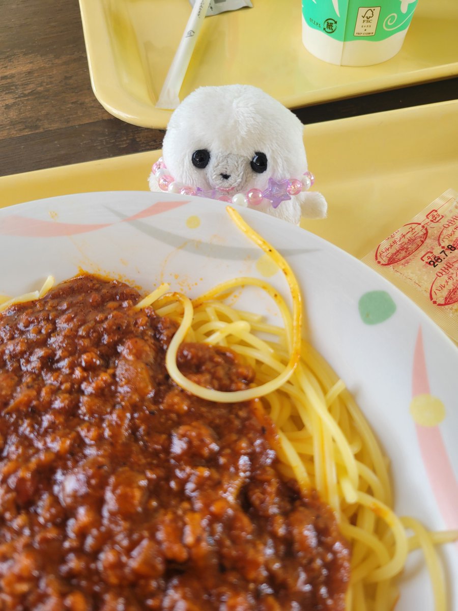 m1zore0107's tweet photo. つゅる…🦭🍝 https://t.co/qD47iHoWzs