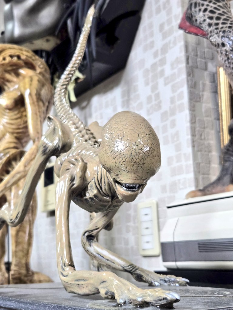 PrectiveGallery's tweet photo. HALCYON ALIEN³ DOG(BAMBI) BURSTER 1/1 SCALE.

こちらはハルシオンから発売された映画[エイリアン3](1992)に登場するドッグバスター1/1キット完成品。
映画撮影の際、スタッフの間ではその愛らしい姿から"バンビ"の愛称で呼ばれていたらしい☝️
一瞬でも可愛いと思った方は既にこちら側の人間である😏 https://t.co/YW3FZK8KqK
