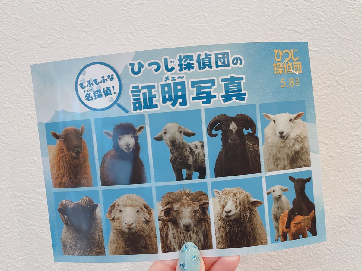 国内で手に入る唯一のひつじ探偵団公式グッズをゲット?