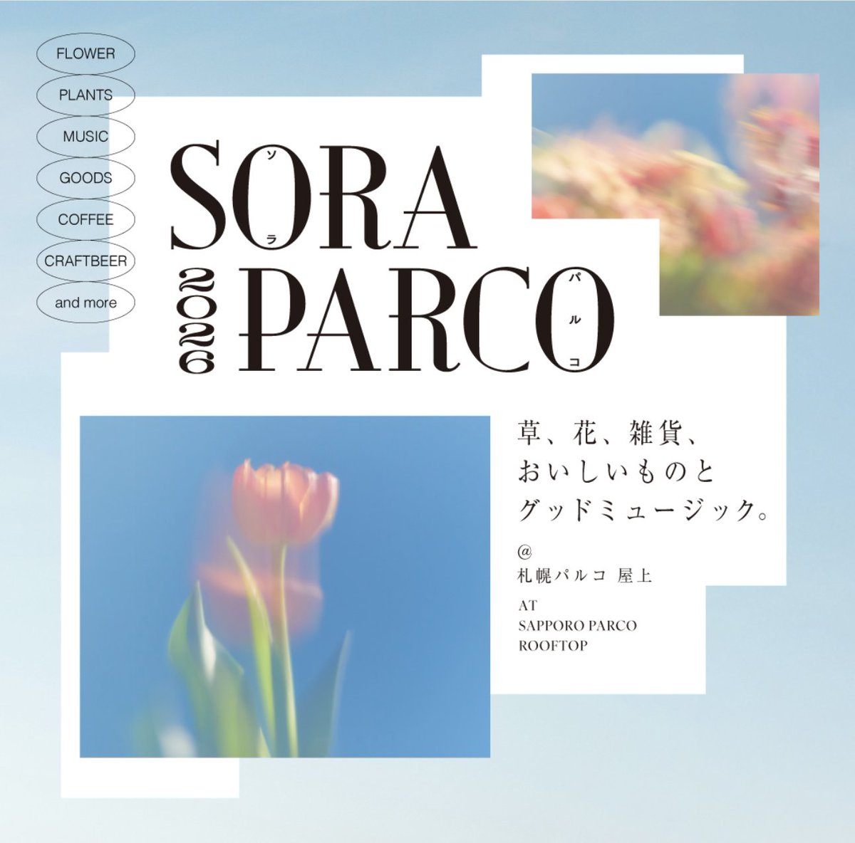 石川 伸一 |NUMERO DEUX tweet media