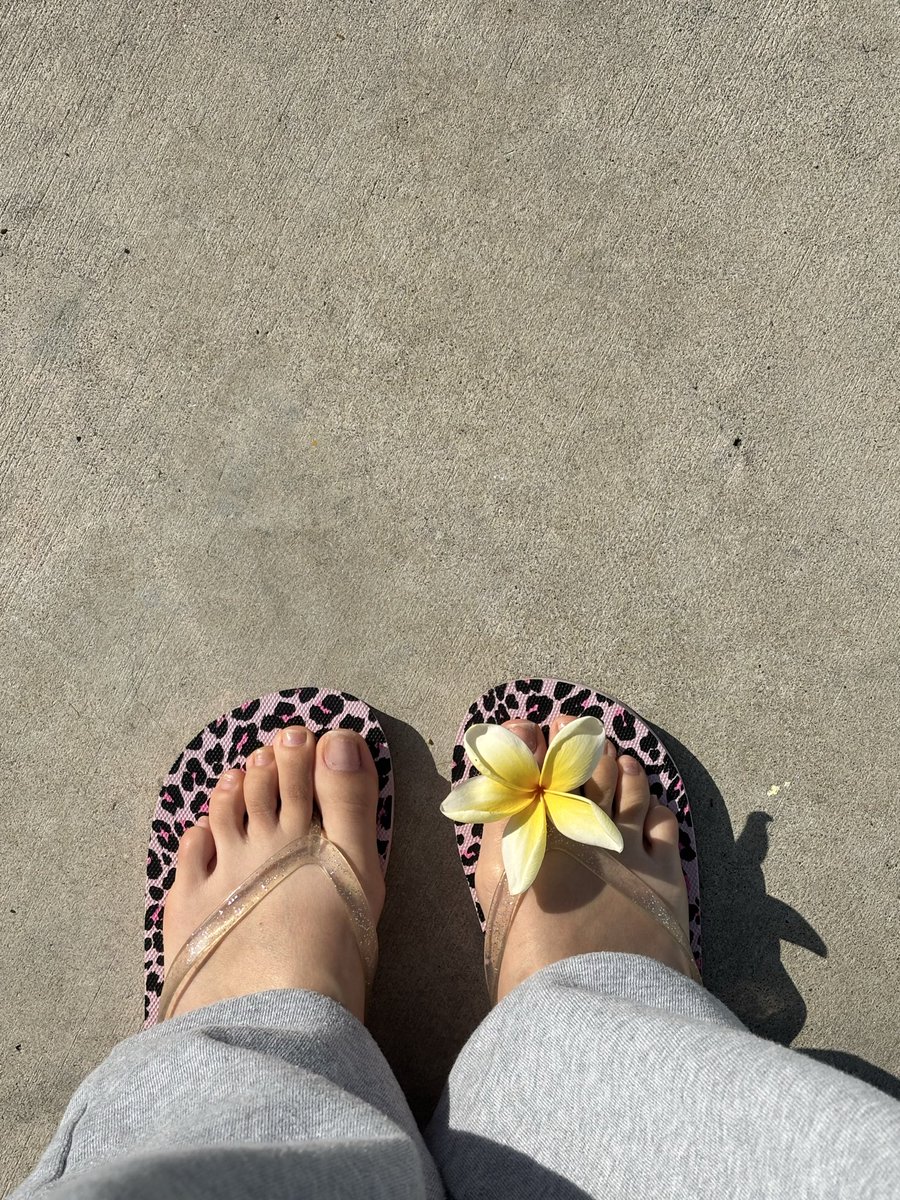 goddessstoes's tweet photo. #nocaptionneeded
#feet #feetworshi̇p #meets #losangeles #longbeach #toes #flowertoes #sex #ExploreNow #explore #worahip #findingpals #fypシ゚viral #cumtributeِs #cumsuckmytoes #paramount https://t.co/1mcxiJPojg