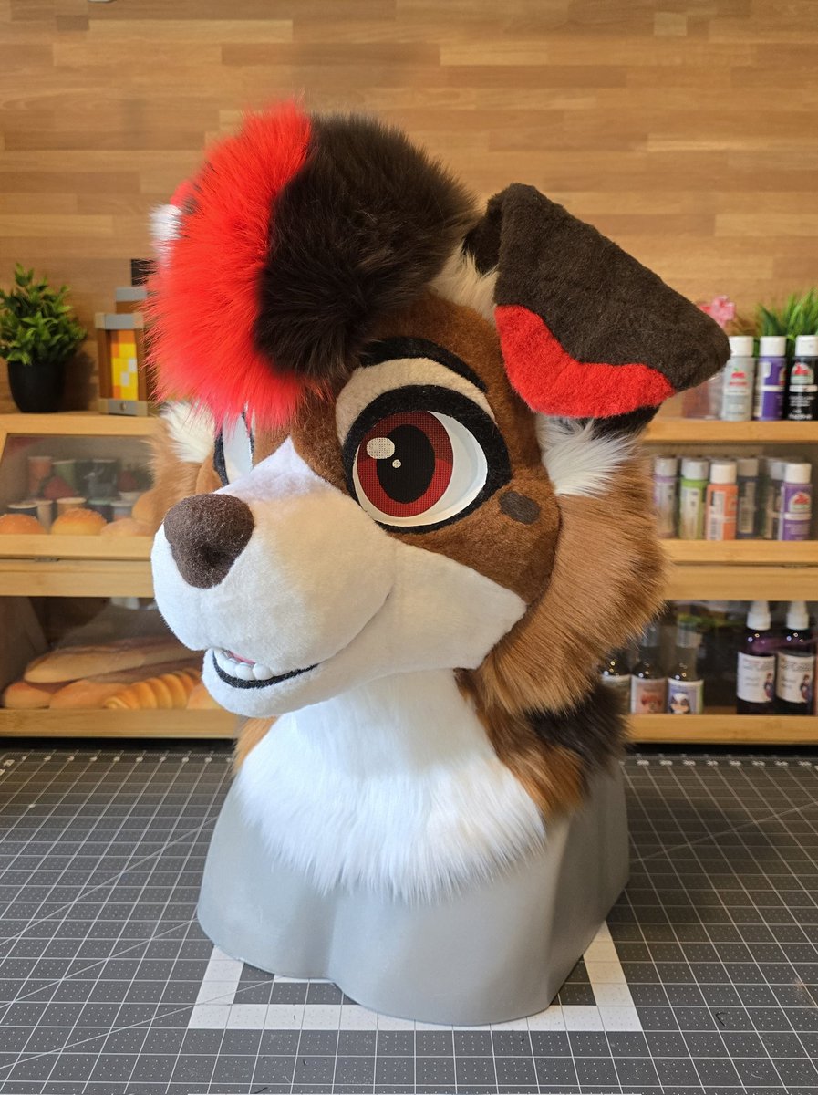BakeryFursuits's tweet photo. Hey everyone! After a much needed break from con crud and FWA, we’re so excited to finally share something new with you all!✨️🧵🐾

We’ve had two brand-new suits finished, and first up…

🍎✨️ Welcome home to our very first collie: Ender!! ✨️🍎 https://t.co/qbzZghlzjh