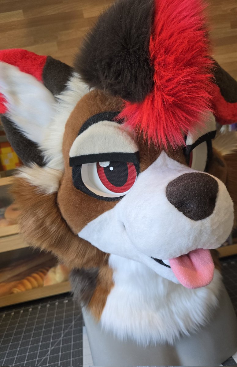 BakeryFursuits's tweet photo. Hey everyone! After a much needed break from con crud and FWA, we’re so excited to finally share something new with you all!✨️🧵🐾

We’ve had two brand-new suits finished, and first up…

🍎✨️ Welcome home to our very first collie: Ender!! ✨️🍎 https://t.co/qbzZghlzjh