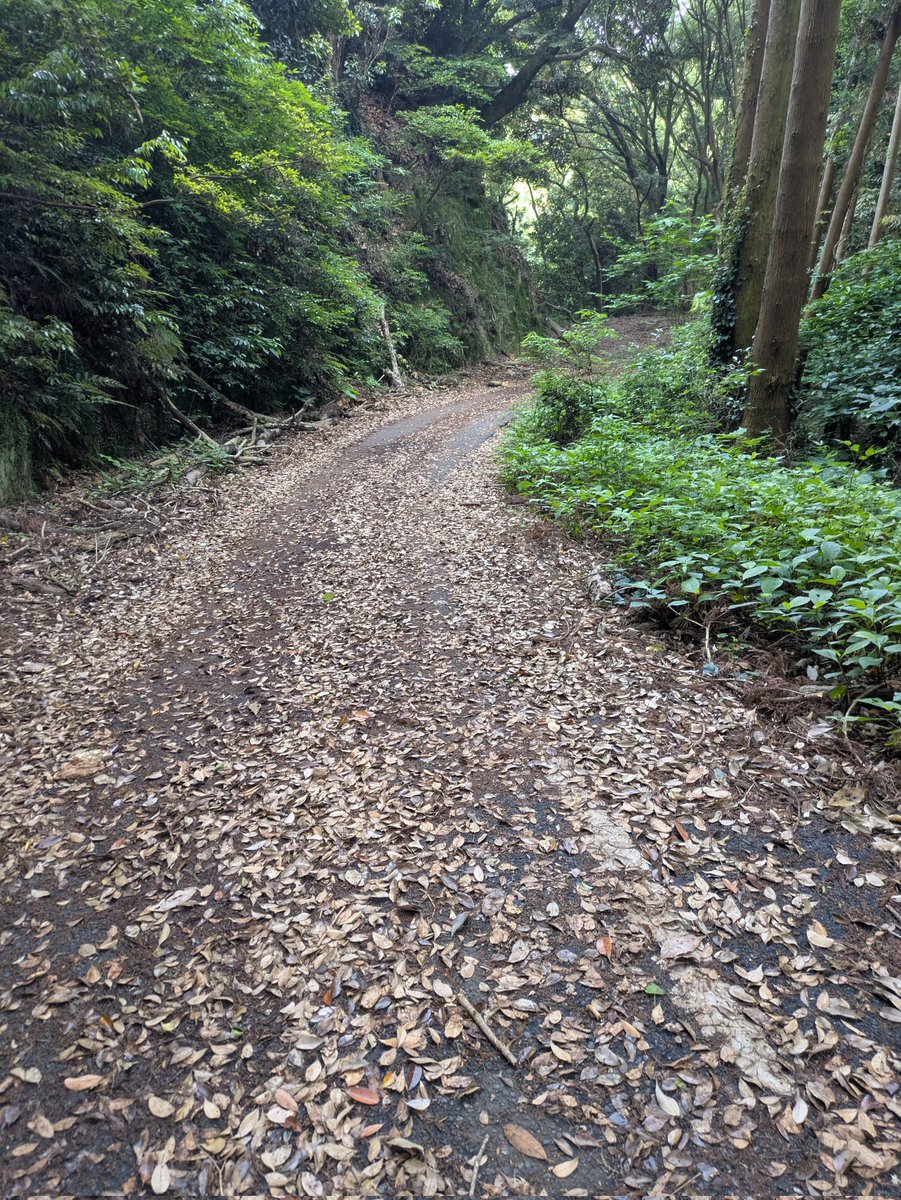 azk88azk's tweet photo. 昨日財布なくして萎えてたけど朝活で山登って気分あげてきた⛰️ https://t.co/3vngXYebH1