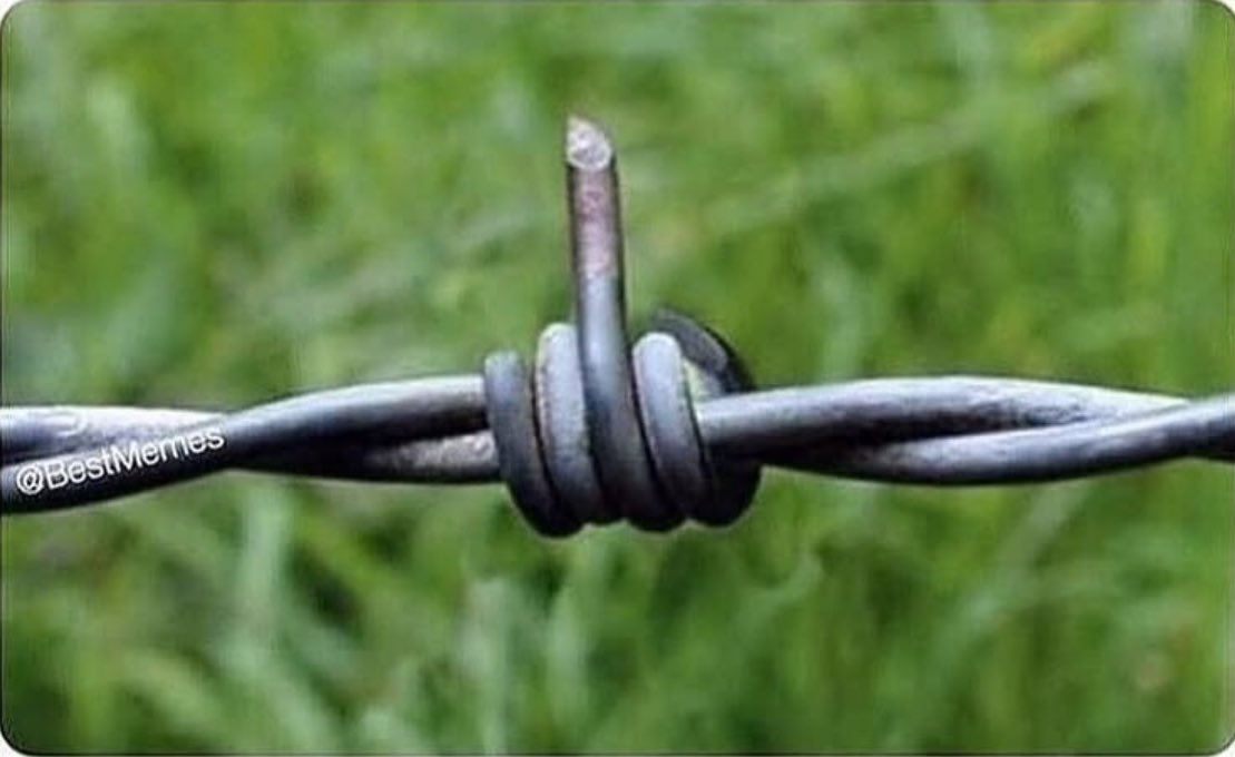 General Foddy🇰🇪 tweet media