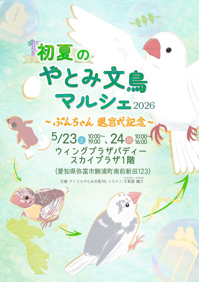 dripcafe_aytm's tweet photo. 本日10:00～16:00、ウィングプラザパディースカイプラザ1階にてあやたまの販売を行います✨️

全国の文鳥グッズが販売されています！
是非お立ち寄りください😌

（あやたまの5月販売は本日が最終日です）

#初夏のやとみ文鳥マルシェ2026 https://t.co/mhX6V7ZCHh