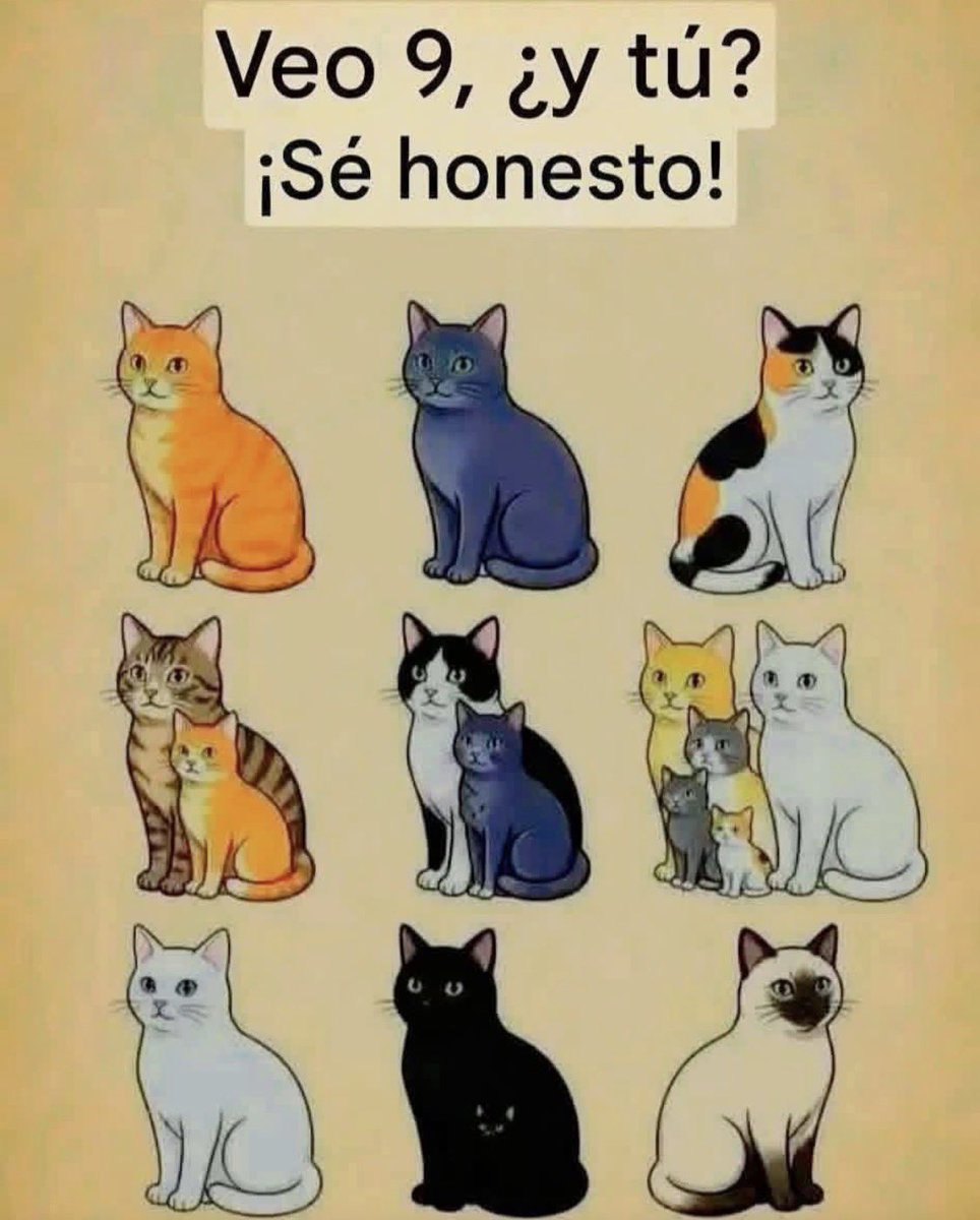 DiegoRoyet41761's tweet photo. Cuántos michis ves. ? https://t.co/XJNEqoTEdh