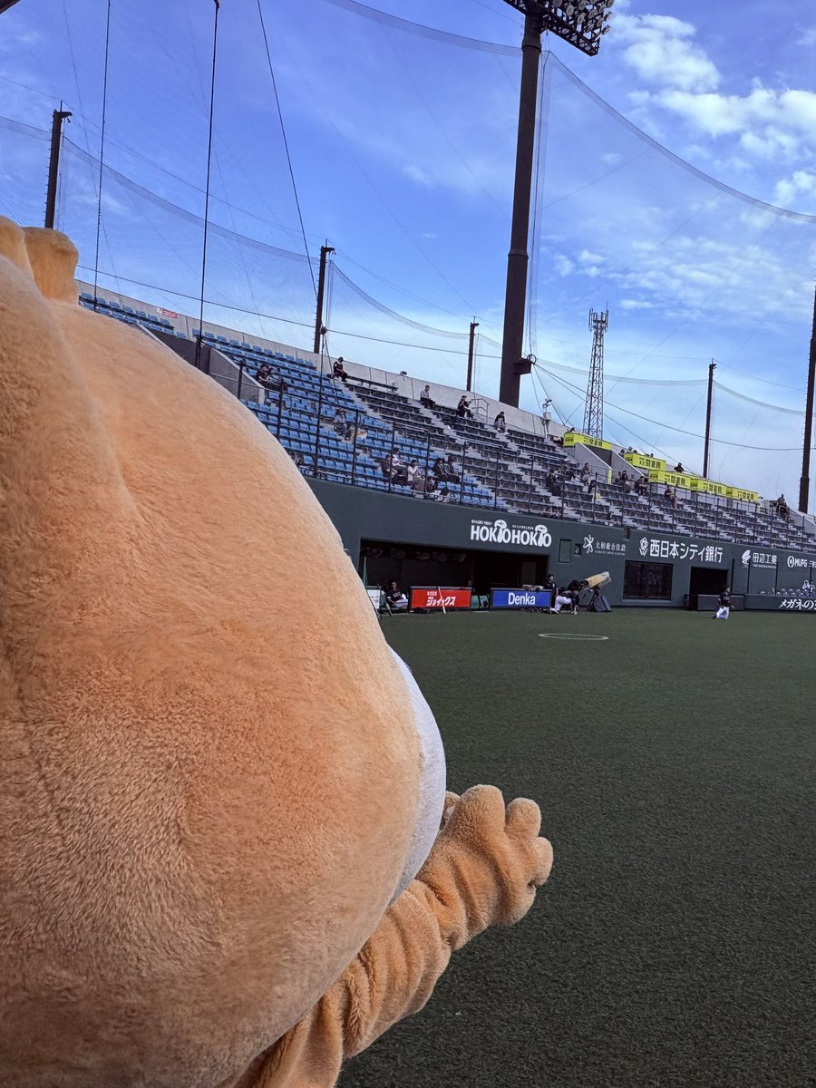 Hanemaru_Koi's tweet photo. おはよーございまーるっ♪
もうすぐ5月26日（火）🎂！
タマホームスタジアム筑後『筑後七国DAYS恋のくに筑後市デー』⚾️だよぉ

今のところ出没時間は未定だけど、
筑後市出身SAKURA GRADUATION Mirei(みれい)ちゃんの始球式で一緒に登場するかも！📸
雨さん降らないでー|(°A°)|ｵﾈｶﾞｲ/☀️

 #はね丸 https://t.co/IdrYRuRJ9q