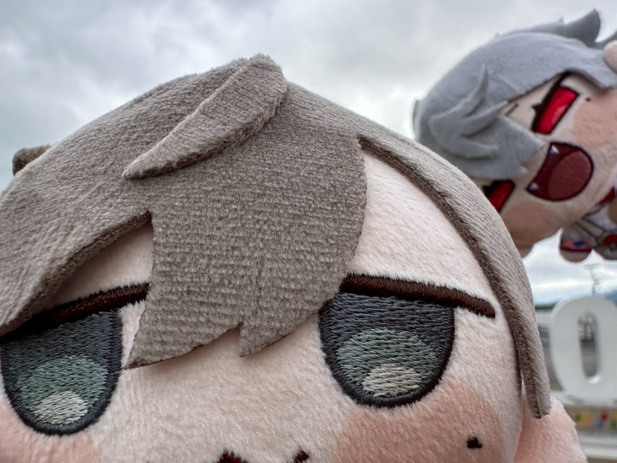chibi_025250's tweet photo. 双子氏と、くろのわと琵琶湖

見えないよ、かなかな(   ˙-˙   ) 

(昨日の出来事です。) https://t.co/YGaMb7KNuZ