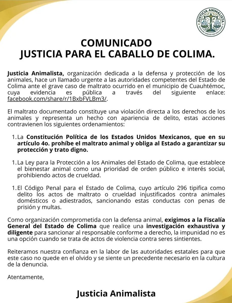 El Emisor tweet media