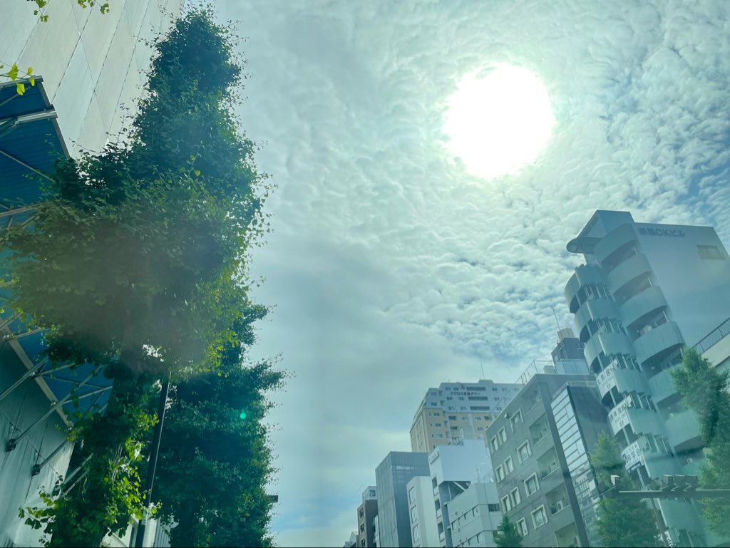 オーマエサン tweet media