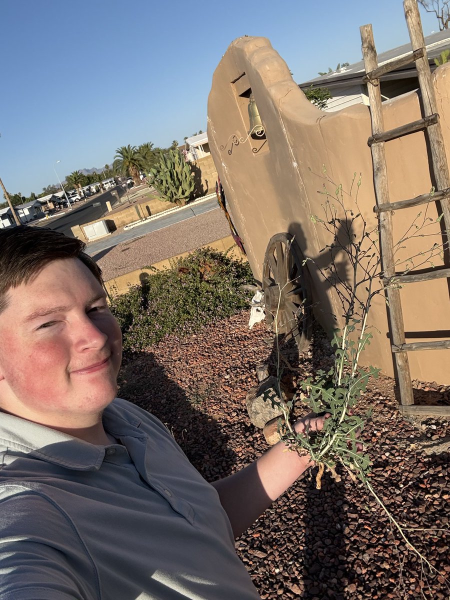 1andyhatch's tweet photo. Politics is ultimately about people. Not just knocking doors and engaging voters, but taking the time to help someone pull weeds from their yard.

Grateful to represent Turning Point Action and be part of work that strengthens communities politically and personally. 🇺🇸 https://t.co/bXf9KdVPz4