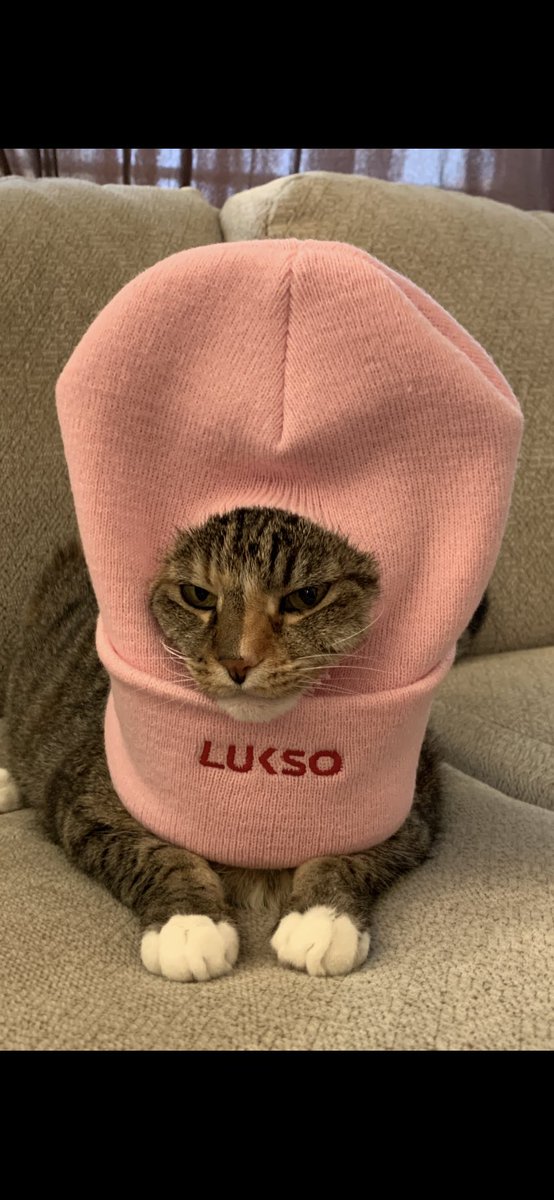 EmbryJeff's tweet photo. @lyxbandit @lyxbandito Bubbles the Cat will be there 😜🆙
$LYX   @binance https://t.co/94Upi4bxsh