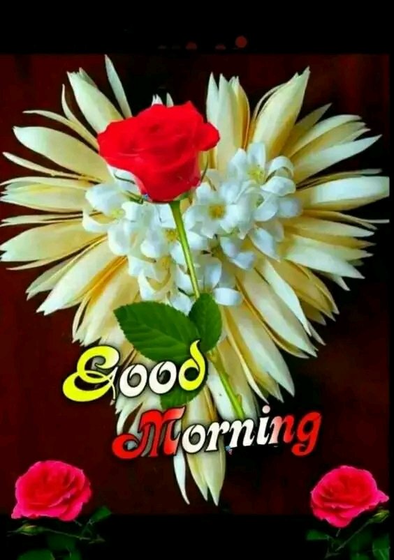 Kamalakar Arya tweet media