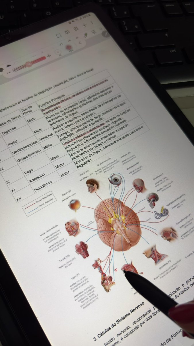 Lu’s daily study tweet media