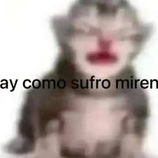 Lisy_ArtXD tweet media