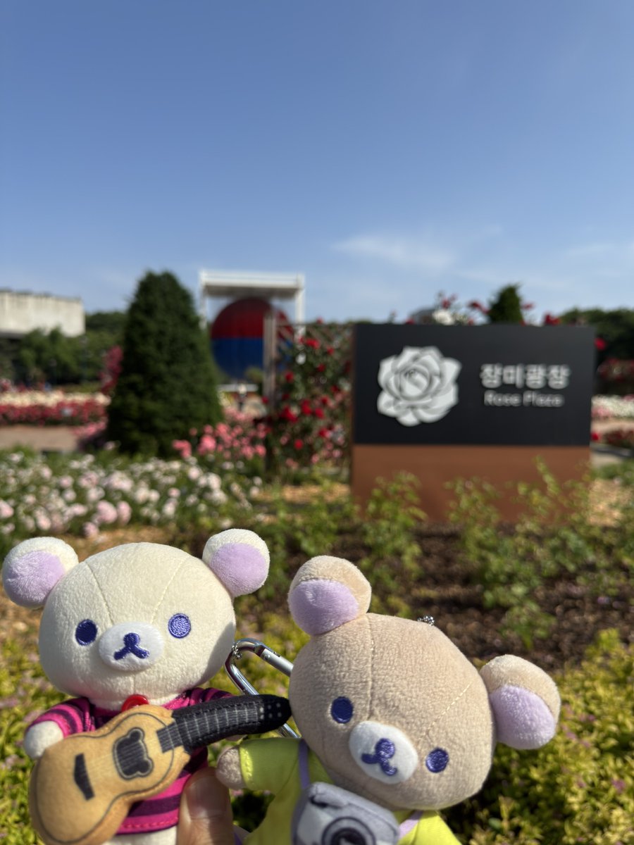 ritelite's tweet photo. ソウルDay2
グッズ待機列まだ10人もいません
長い一日😅
#幾田りらLaughツアー
#LilasLaughTour https://t.co/mUY4H3hf4h