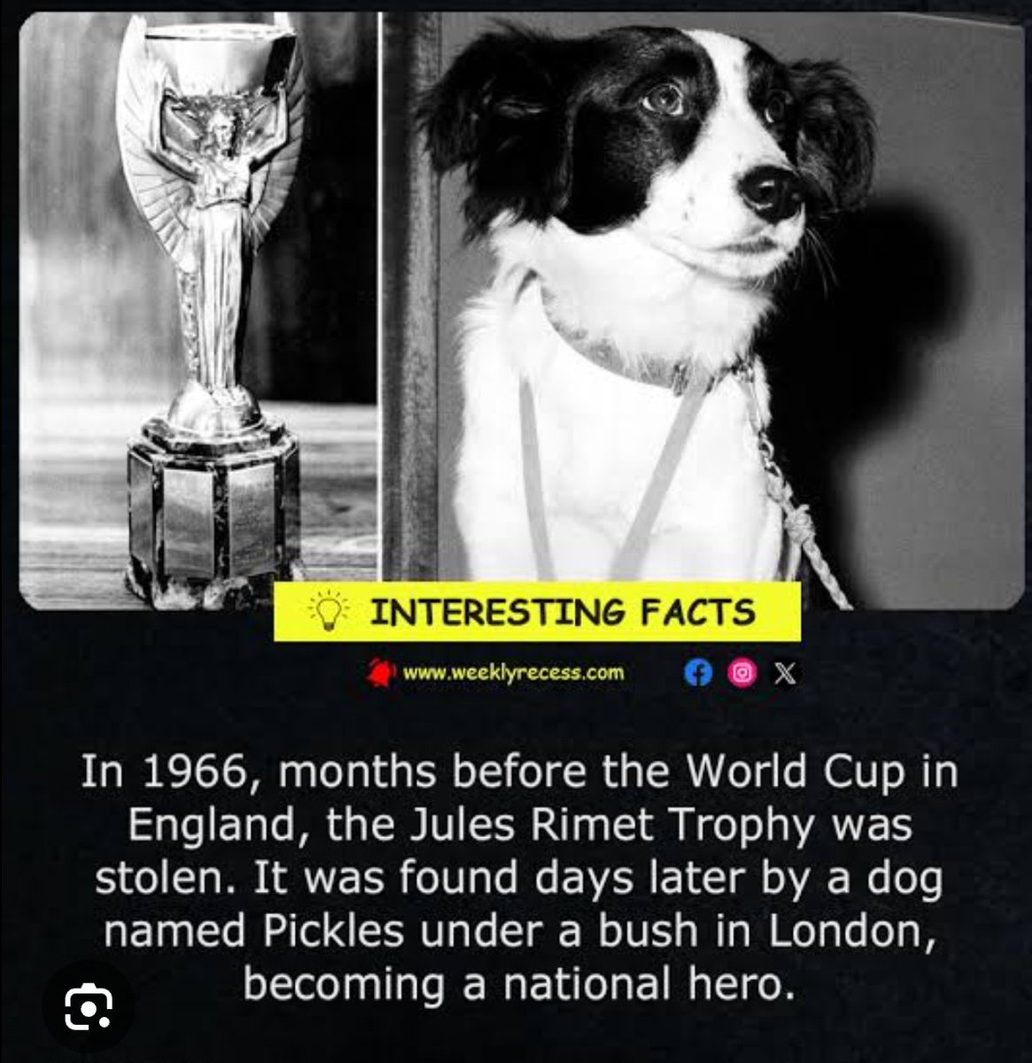 Pickles tweet media