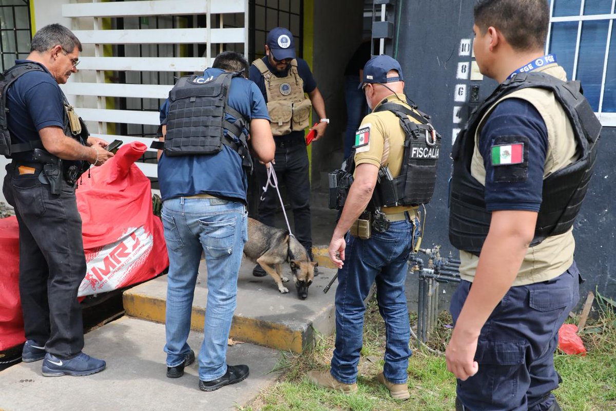 FiscaliaMich's tweet photo. 🚨⚠️🐾  La FGE rescató a cuatro ejemplares caninos víctimas de maltrato y abandono, durante el cumplimiento de una orden de cateo ejecutada en un inmueble del fraccionamiento Villas del Pedregal, en Morelia.
➡️ https://t.co/QWw582SV53 https://t.co/XYzPUN5PYb