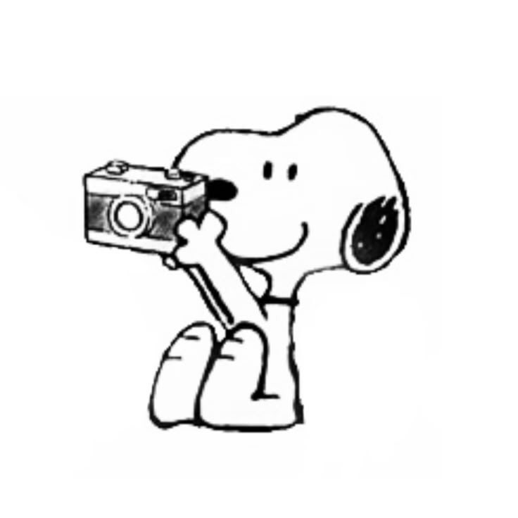 ؘ tweet media
