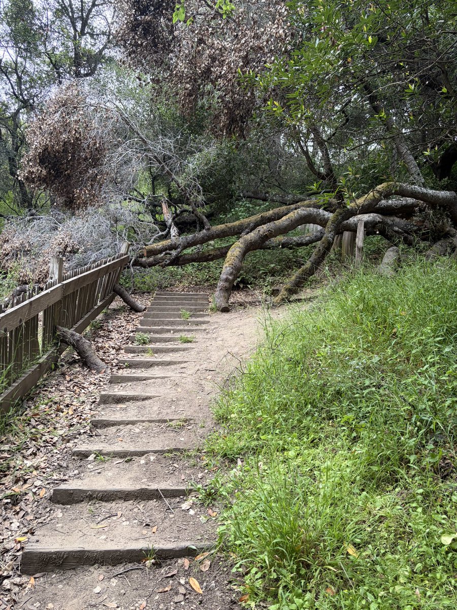 The San Andreas Fault tweet media