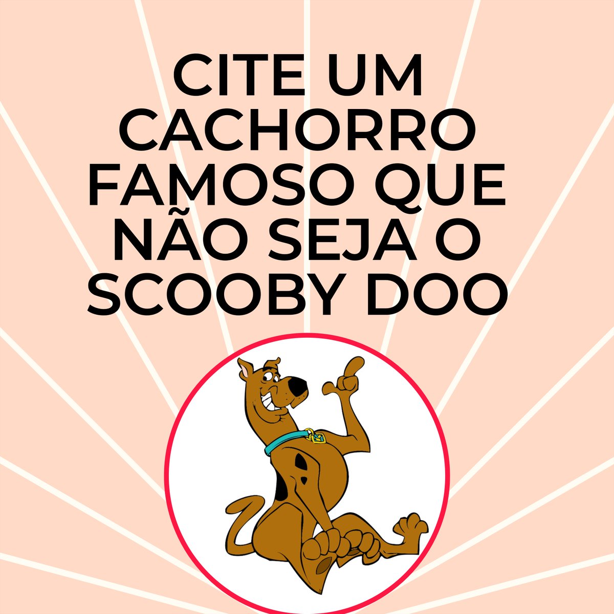 Vandinha tweet media