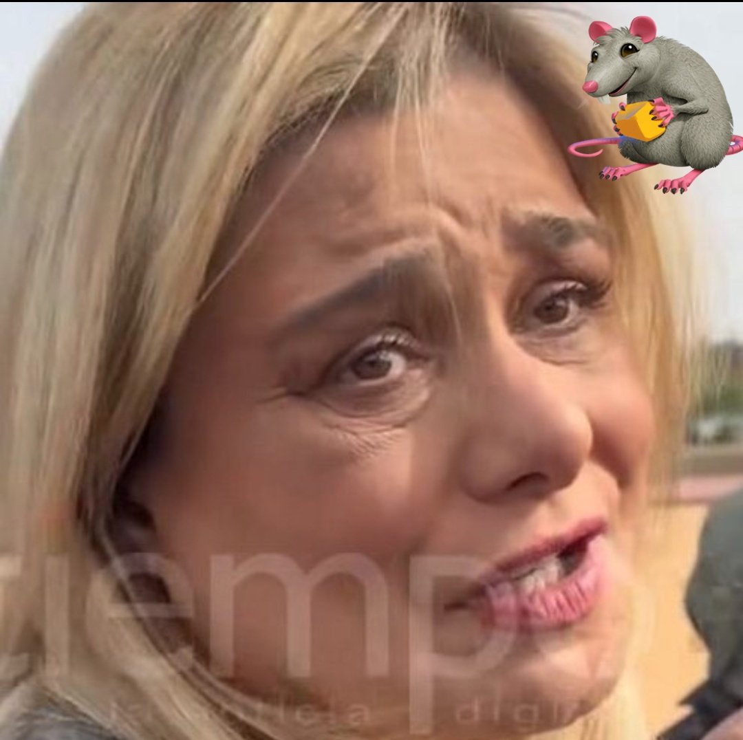 Patricia tweet media