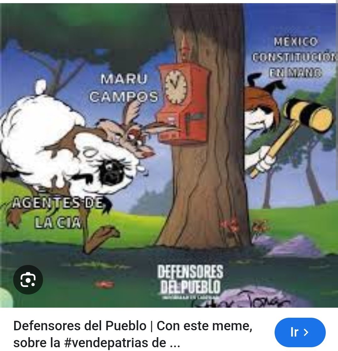 Patricia tweet media