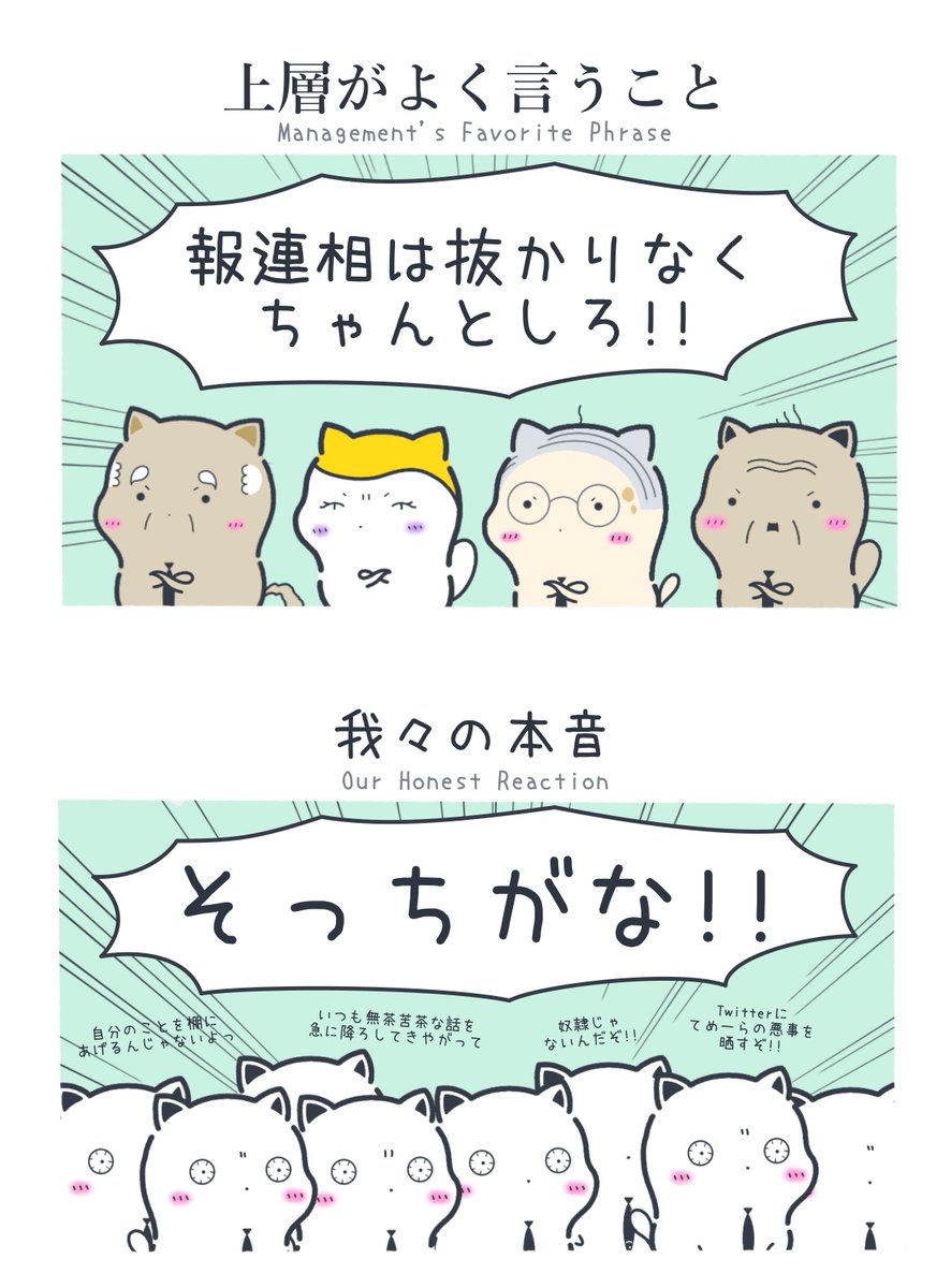 まよねこの勤労🐈💨 tweet media