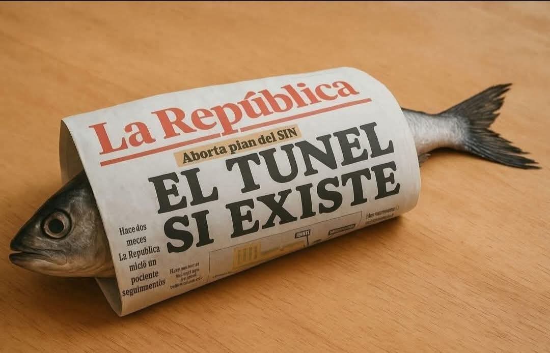 @ elpatriota tweet media