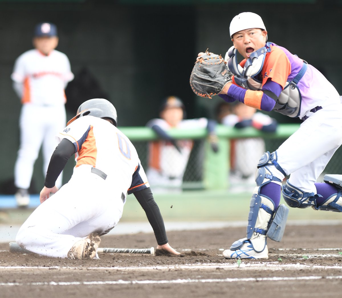 JSBB_official's tweet photo. 【第9回全日本シニア軟式野球大会(ドゥクラッセトーナメント)】
大会2日目、始まりました⚾🌈
埼玉県営大宮公園野球場の第1試合は
前年度優勝・紫式部楽園(#大阪府)vs長崎市役所マスターズJ ( #長崎県 )
となります。
お近くの方はぜひお越しください⛩🕊
#NANSHIKI #JSBB #軟式野球 #野球 #野球ってたのしいよ #ドゥクラッセ #埼玉県
#大宮