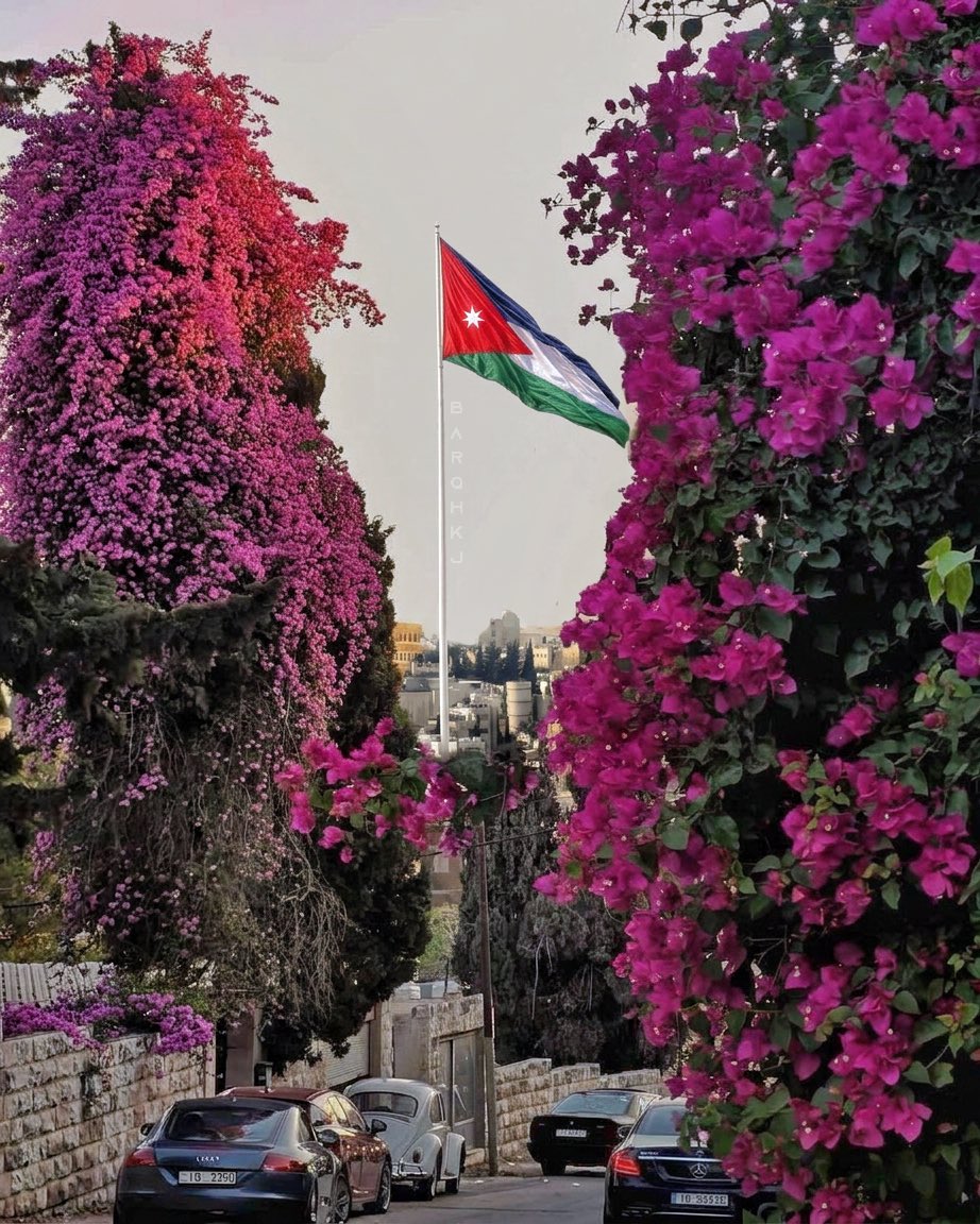 Barqhkj's tweet photo. يزهر فخراً 🇯🇴 https://t.co/Yns4Hb1kTF