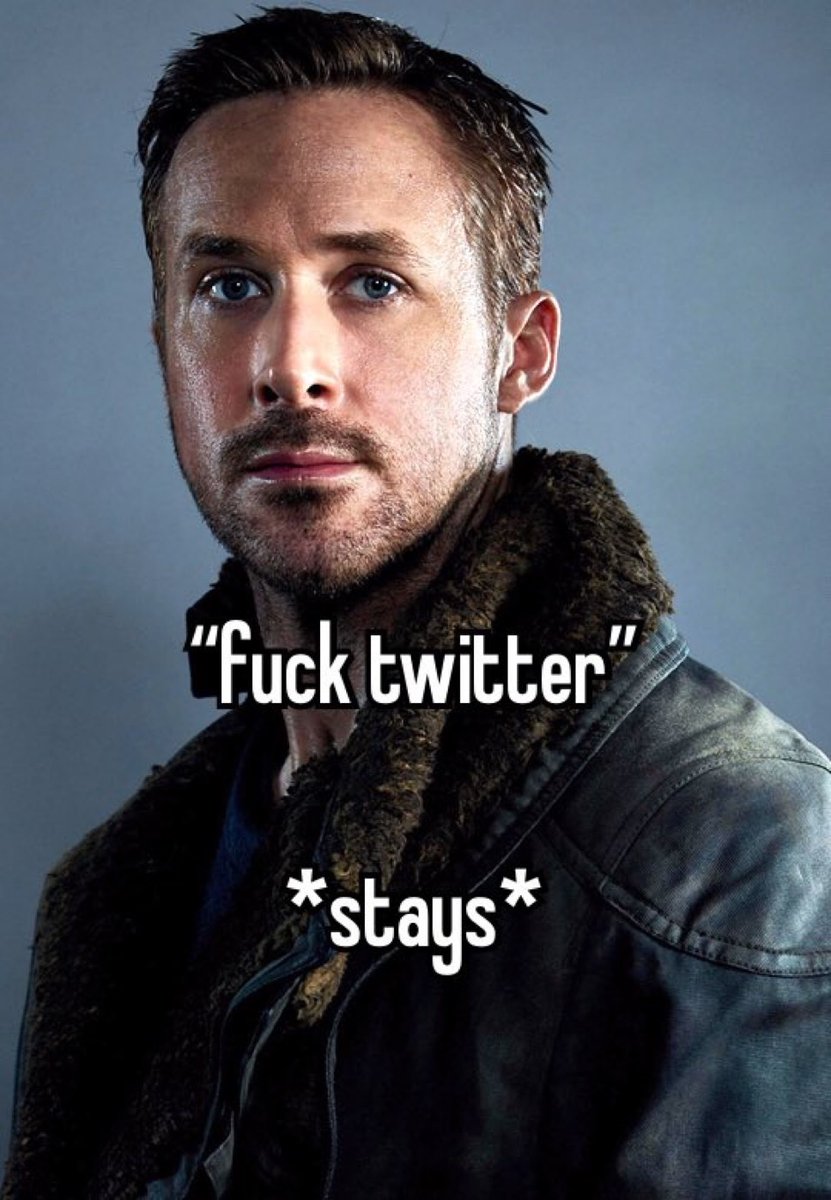 duck tweet media