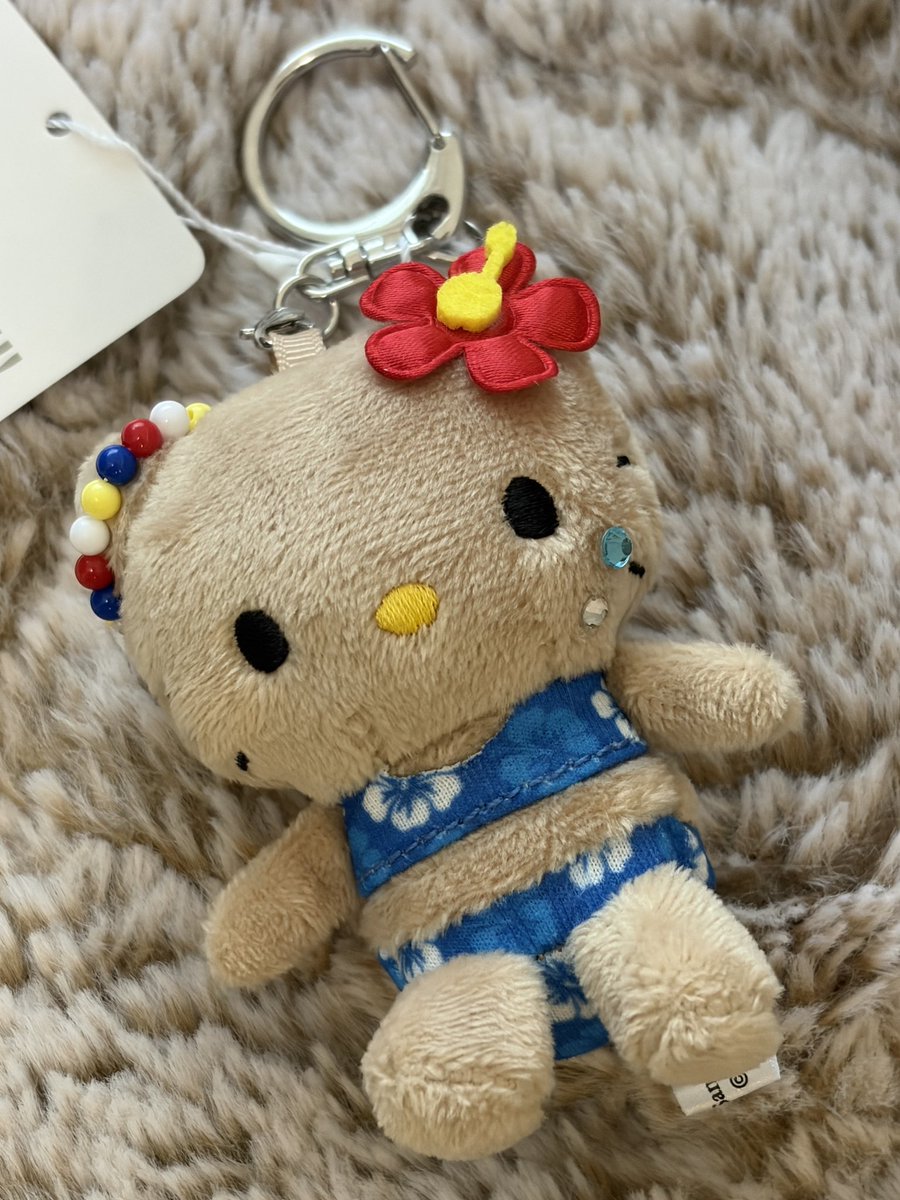 __mao42__'s tweet photo. おっはようございまーす🐣！！
皆さま、お休みいかがお過ごしでしょうか👀？

📷 新しく仲間入りした日焼けキティ🐱 https://t.co/TtY4rtF5x3